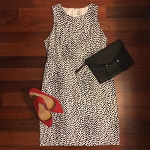 ⭐️HP⭐️ NWT - J. Crew Animal Print Sheath Dress